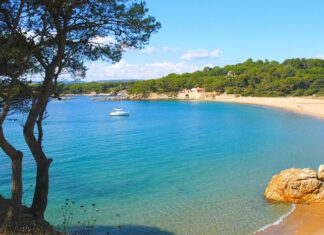 The Troubled Reign of Milan and the Rise of Alexander