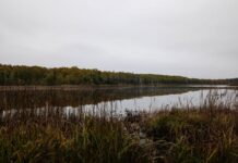 Demosthenes Life and Death