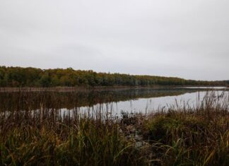 Demosthenes Life and Death