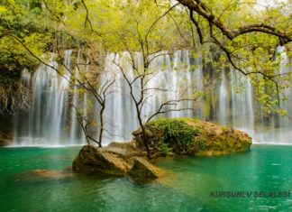 Different Beliefs About the Crocodile in Egypt