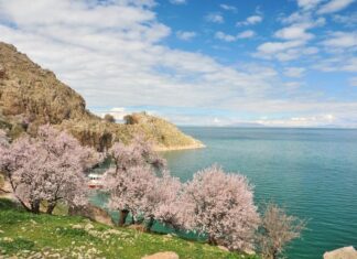 Reminders of Mortality Along the Road